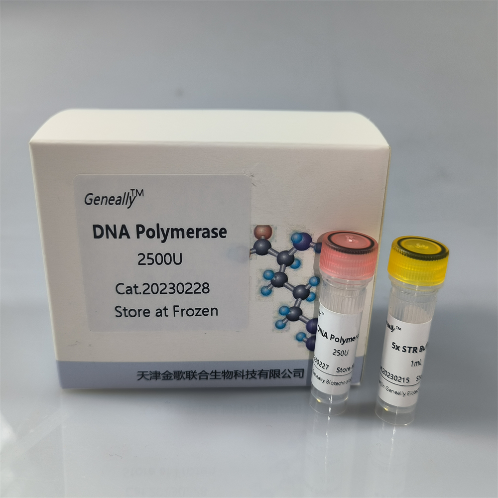 DNA Polymerase