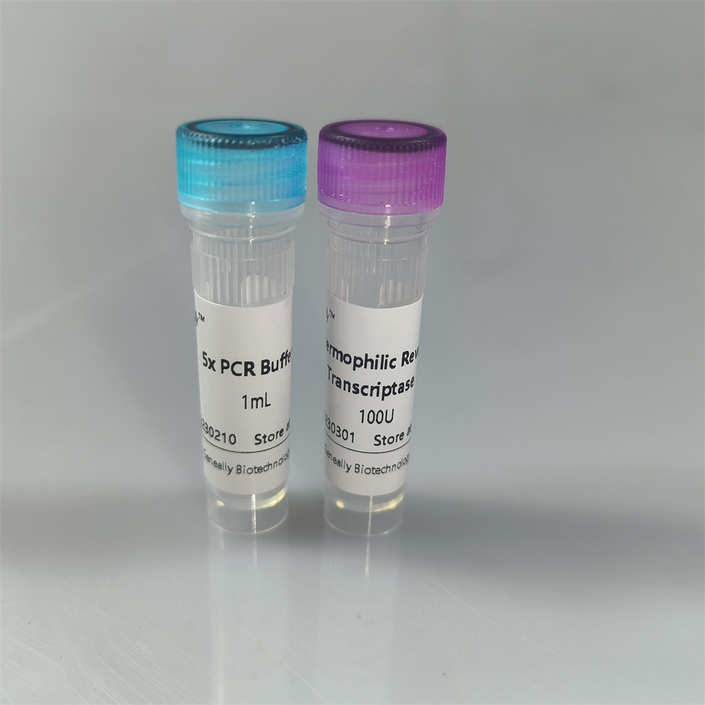 Thermophilic Reverse Transcriptase