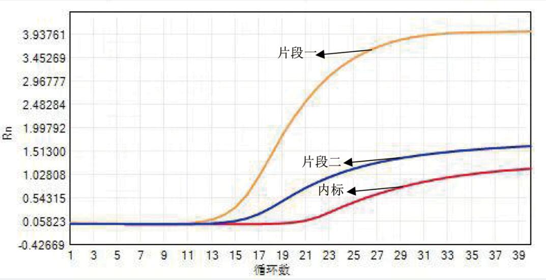 荧光PCR平台--传染病类